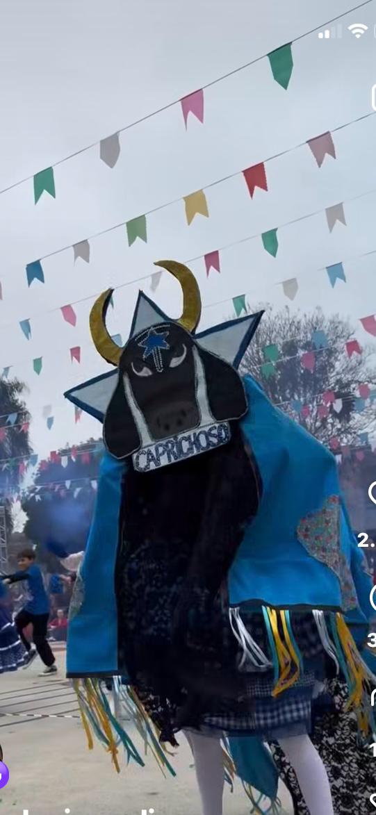 Festival de Parintins é homenageado por estudantes do Paraná e apresentação emociona nas redes sociais