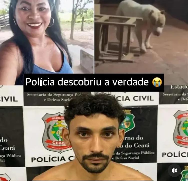 Crime em Bacabal: homem mata companheira e tenta culpar pitbull