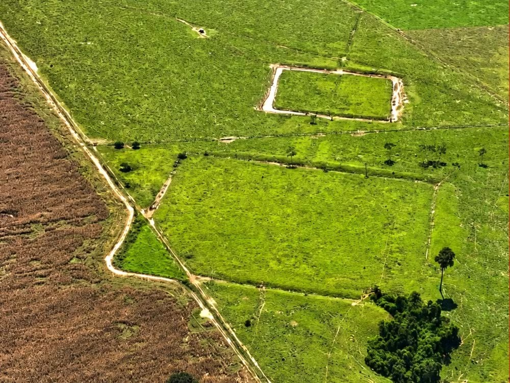 Com sobrevoos no Acre, cientistas encontram quase 400 novos geoglifos na Amazônia