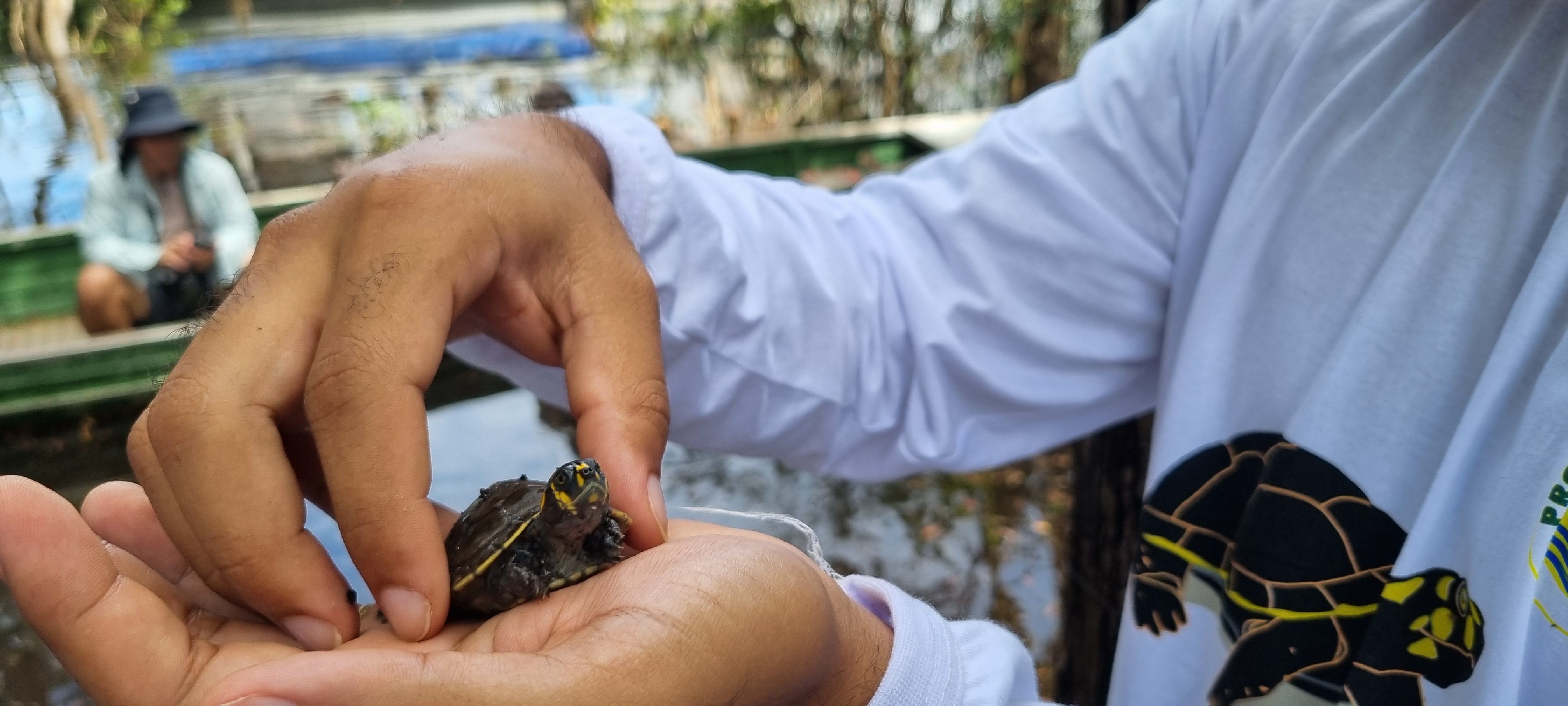 Instituto Claro e UFAM celebram a segunda fase das solturas de tracajás em comunidade ribeirinha do Amazonas