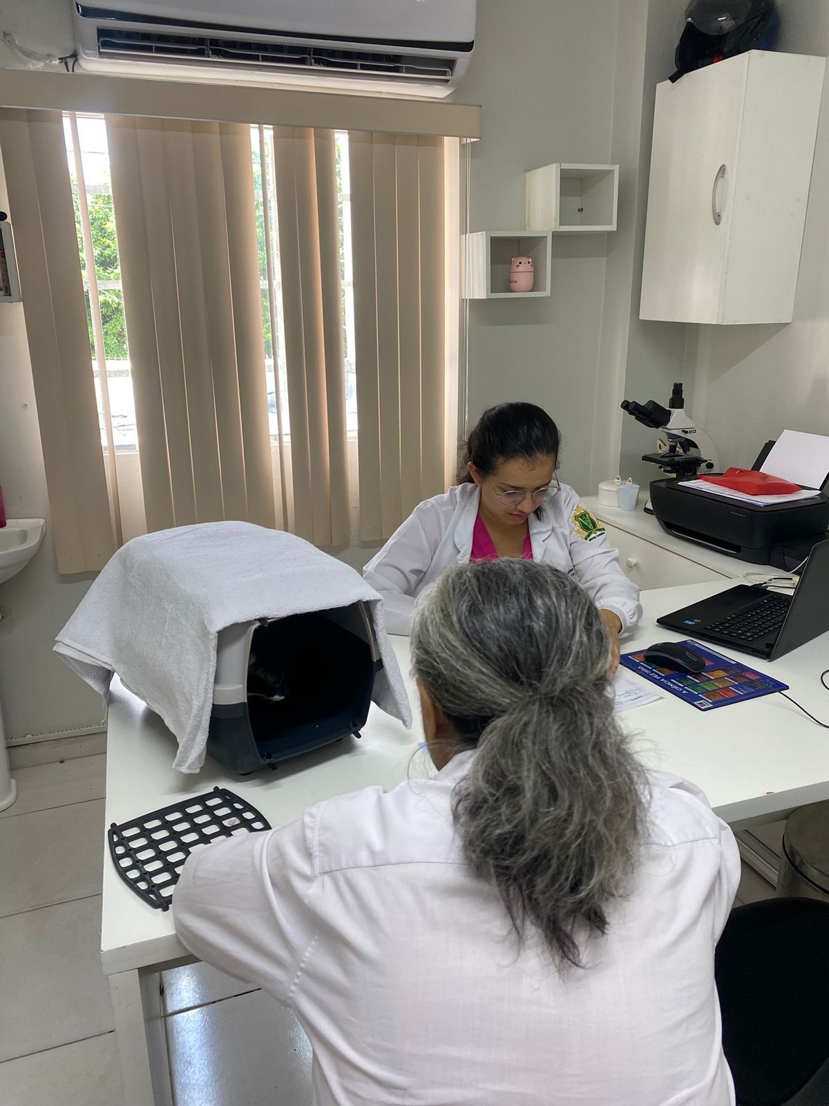 Outubro Rosa Pet: Campanha de castração reforça prevenção e cuidado especial com as gatinhas em Manaus