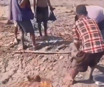 Número de mortos sobe para 335 após enchente que devastou Nepal e Tibete