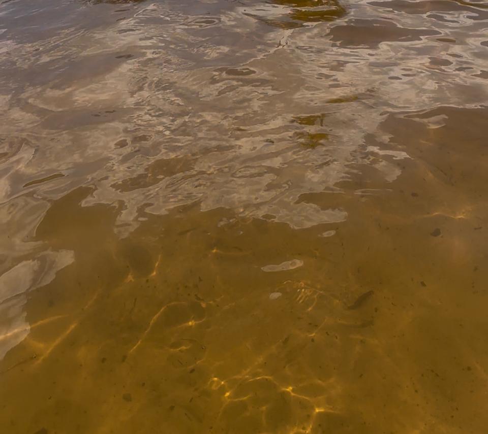Manaus pode enfrentar cenário de escassez de água até 2040, aponta estudo