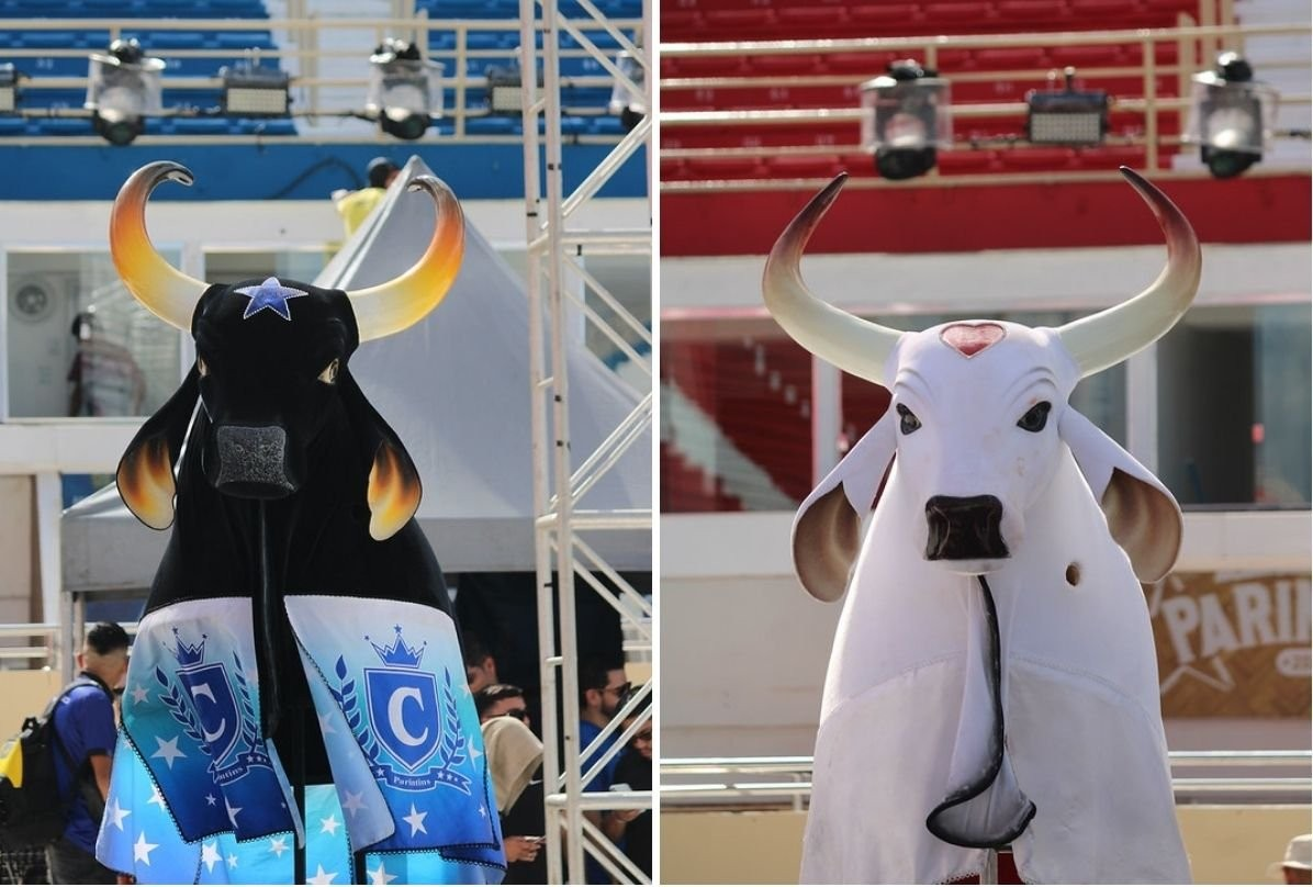 Saiba o horário da apuração do Festival de Parintins e onde acompanhar o resultado