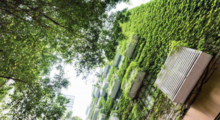 O papel do desenvolvimento urbano sustentÃ¡vel na diminuiÃ§Ã£o dos efeitos das mudanÃ§as climÃ¡ticas 