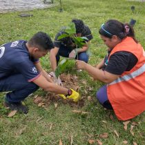 Dia da Terra: Centro UniversitÃ¡rio promove aÃ§Ã£o ambiental em alusÃ£o a data