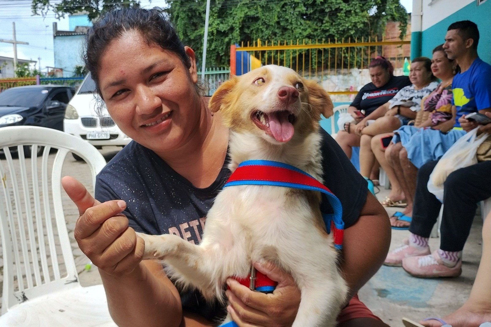 Prefeitura de Manaus abre agendamento on-line para castração de cães e gatos no castramóvel Caramelo