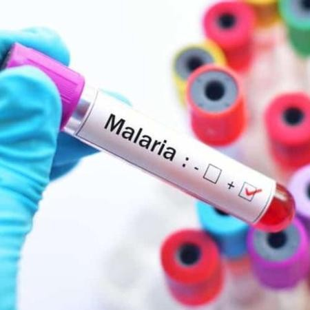 Novo remédio em dose única contra malária avança em testes