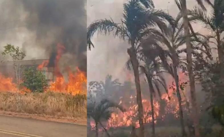 Ministerio  da Defesa confirma envio de reforços para combater queimadas no Amazonas