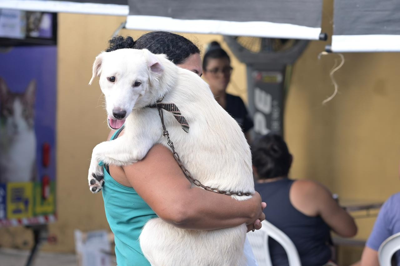 Castramóvel abre agendamento para cães e gatos em bairros de Manaus