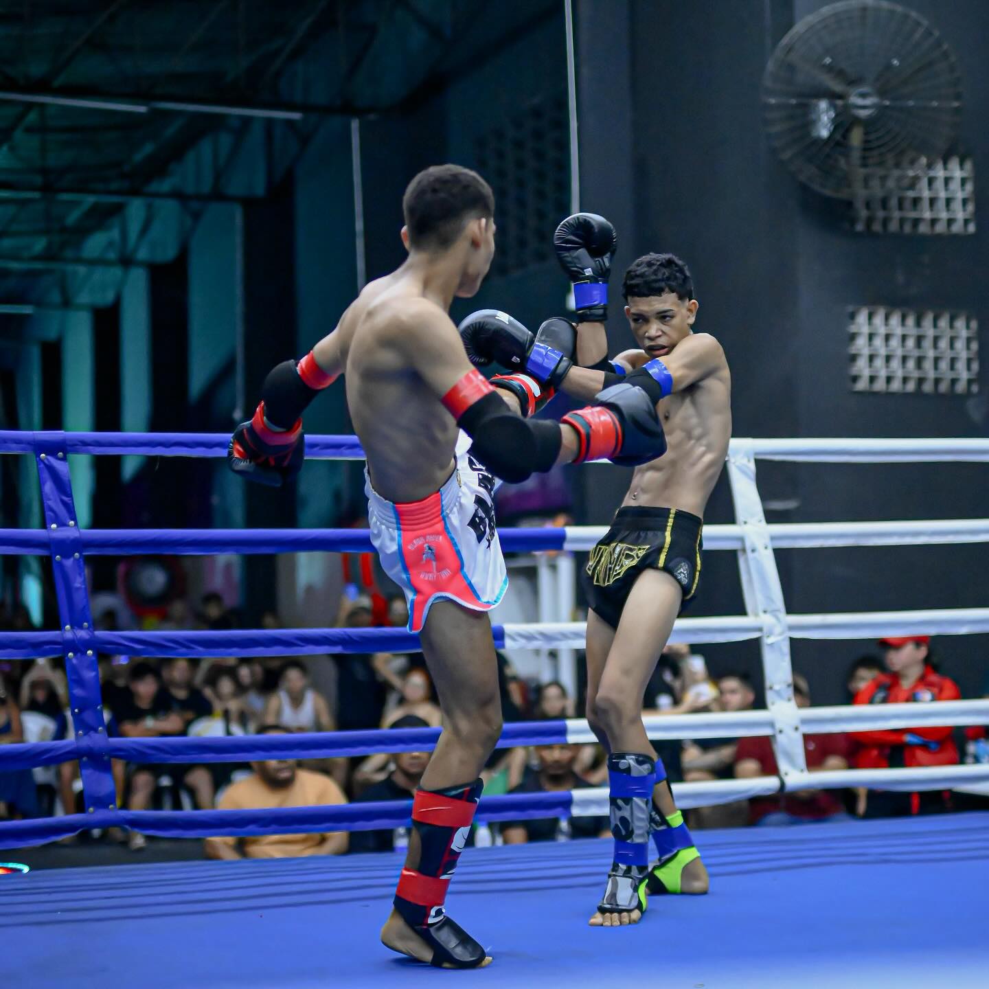 Black River inaugura turma kids de muaythai com aula gratuita nesta sexta-feira 