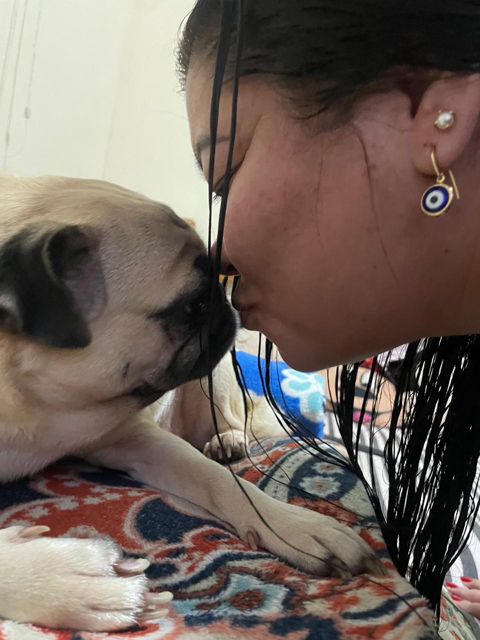 O amor que cura: como os cães revolucionam a saúde mental e transformam vidas