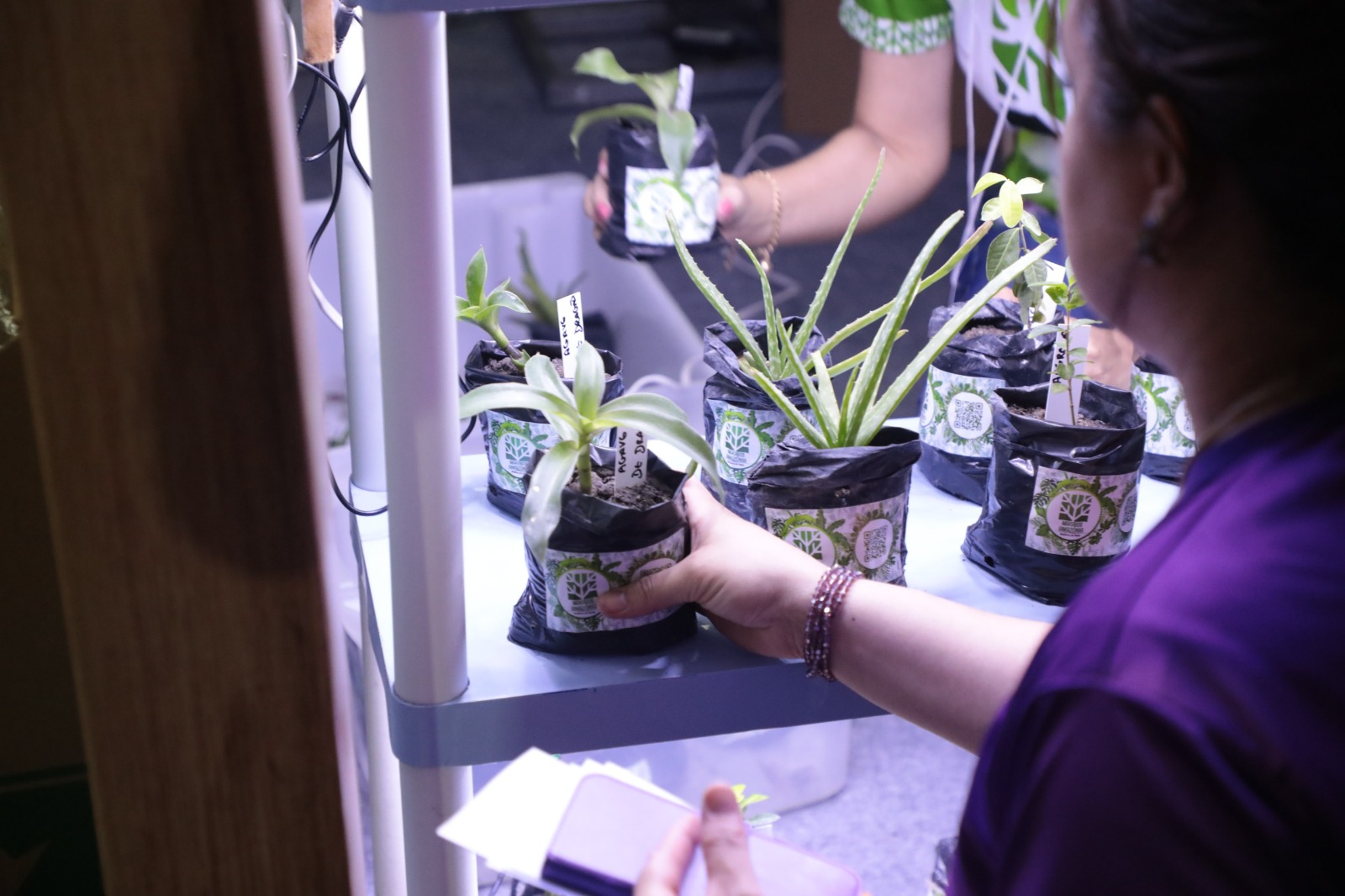 Fapeam abre inscrições para os programas Painter Ecoturismo, Profix-RH e Pameq