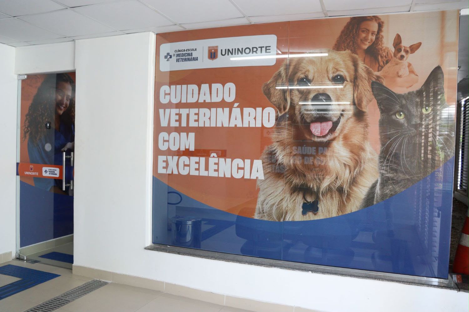 Obesidade em cães e gatos é um alerta para a saúde dos pets