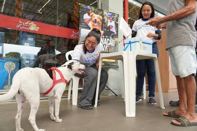 Prefeitura de Manaus abre ‘Campanha de Vacinação Antirrábica Animal 2026’ com treinamento de profissionais nesta terça-feira